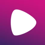 Wiseplay Mod Apk